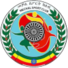 Internacional